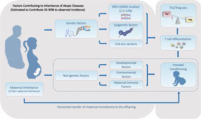 Asthma and the Missing Heritability Problem: Necessity for Multiomics Approaches in Determining Accurate Risk Profiles